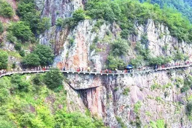 沙漠前行